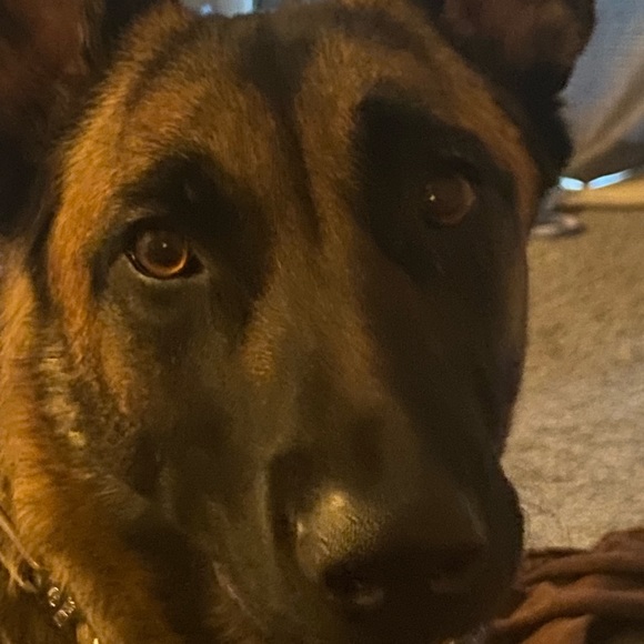 Meet your Posher, Jennifer - Picture 7 of 10